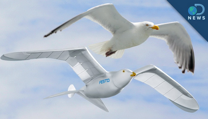 طائرة بدون طيار جديدة تحاكي الطيور بالشكل والحركة ويصعب رصدها